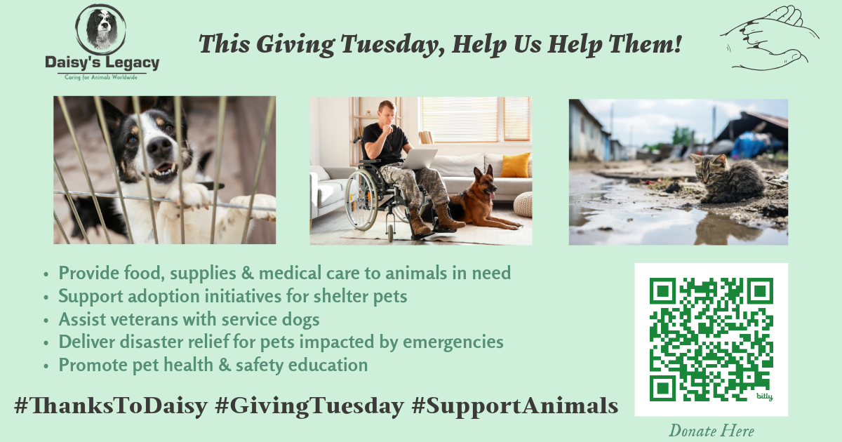 🌟 Giving Tuesday Is TODAY — And Daisy’s Legacy Needs You 🌟
